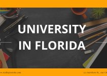 Top 10 University in Florida for PhD